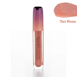 Shimmering Lip Gloss
