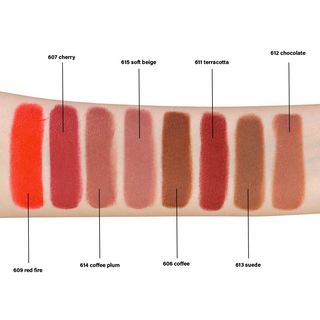Pierre Cardin Chubby Silky Matte Lipstick